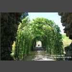 Bayreuth Eremitage - Laubengang am Parnass